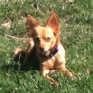 Meet your Posher, Rosa